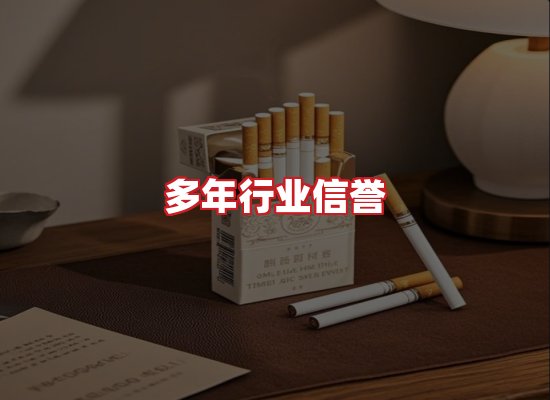 专业团队